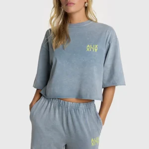 Camiseta oversize gris ALIX THE LABEL